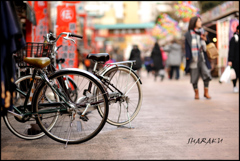 浅草の自転車