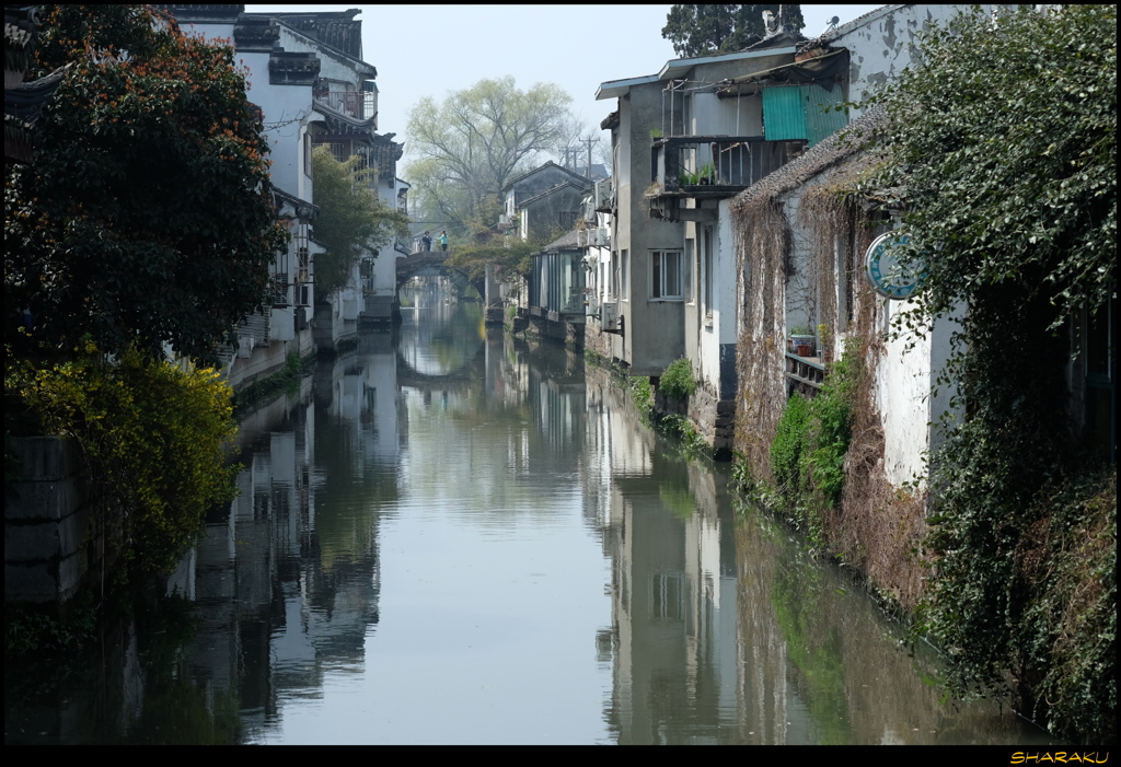 春の空気を感じて