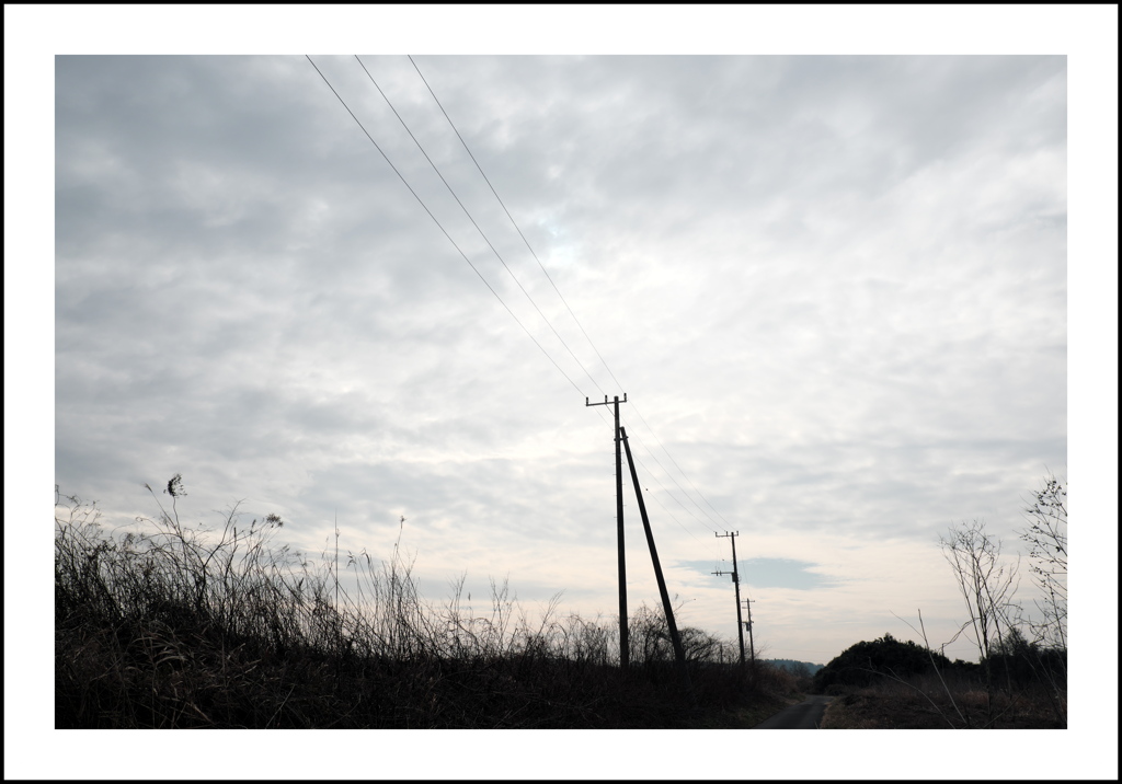 冬の空