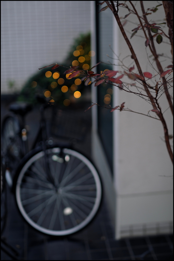 Bicycle