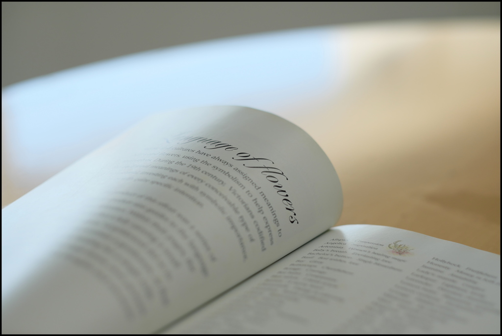 洋書