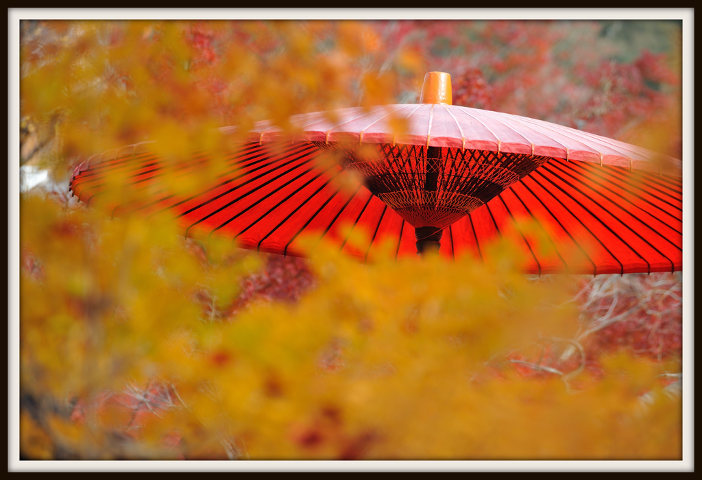 紅と黄