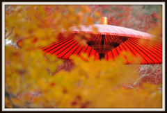 紅と黄