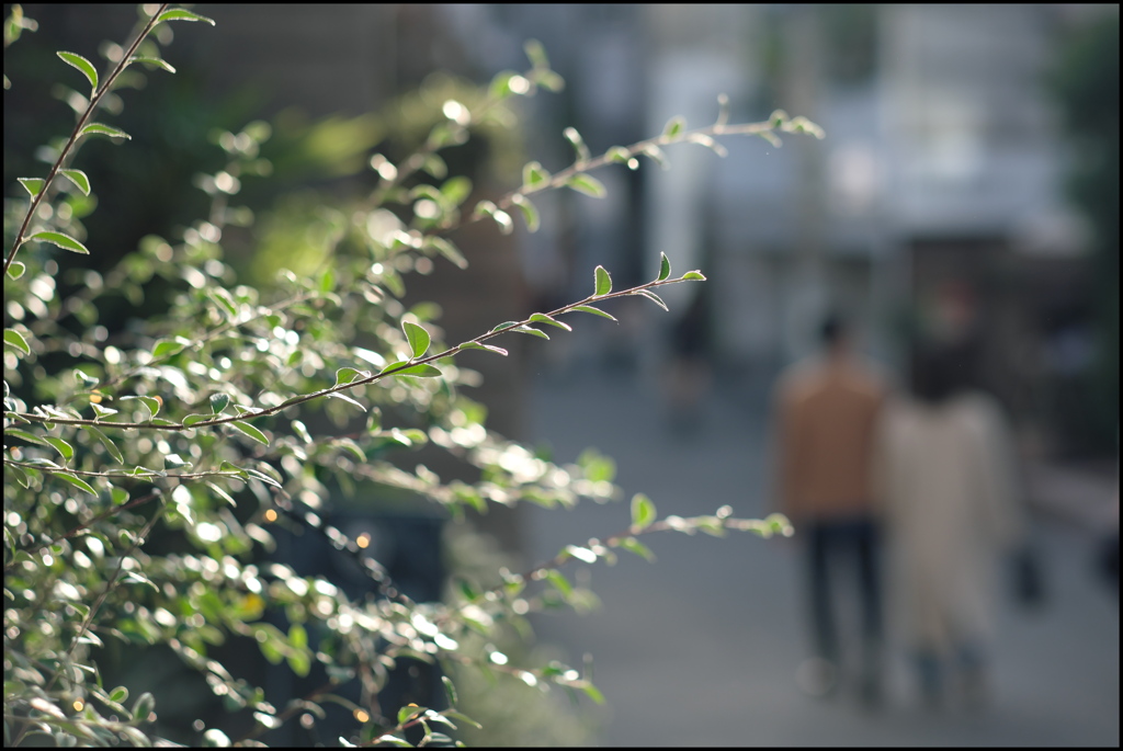 東京散歩 ⑨