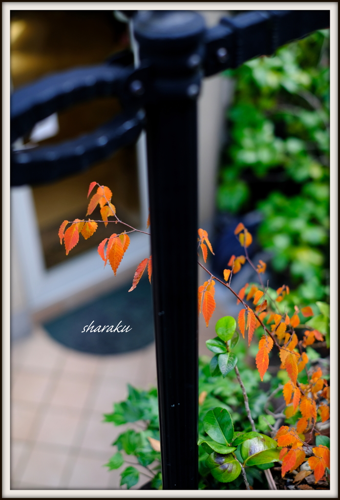 Omote-Sando #2
