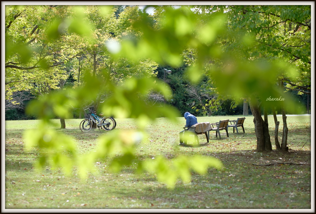 公園で...