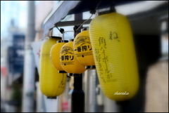 yanaka 6