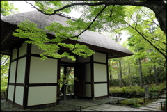 新緑の京都 ②