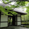 新緑の京都 ②
