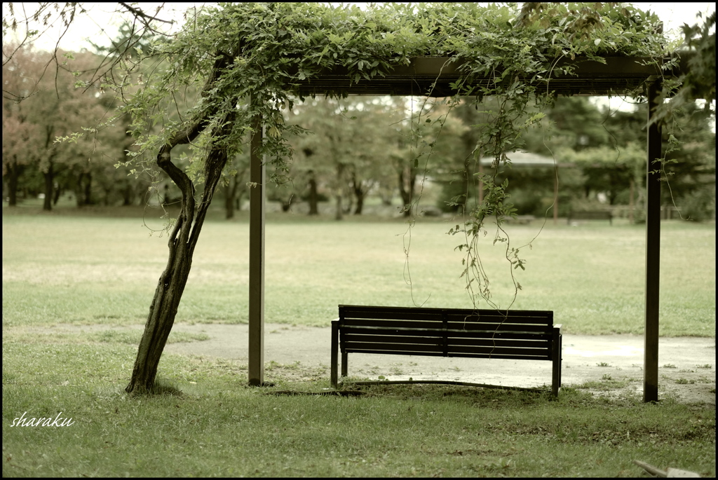 孤独なベンチ