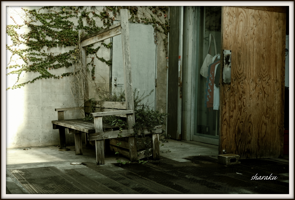 Omote-Sando #3
