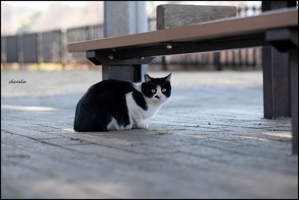 距離感