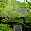 新緑の京都 ③