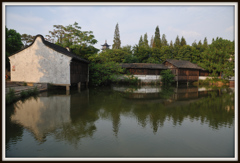 水辺の景