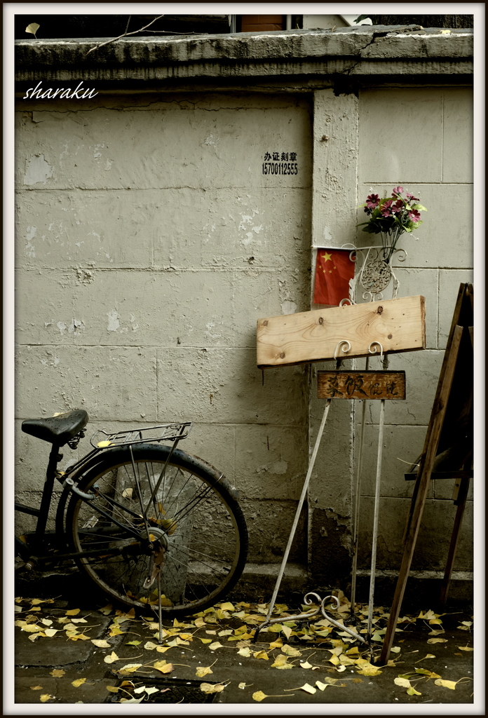Shanghai #8