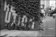 二輪のある光景Ⅱ