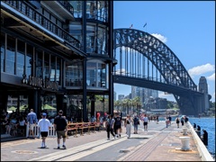 Harbor Bridge