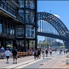 Harbor Bridge