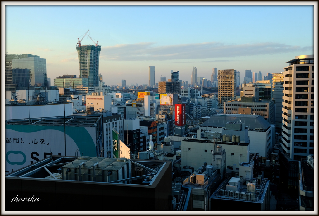 渋谷、夕暮れ