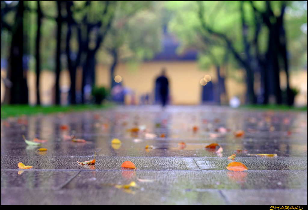 雨の日