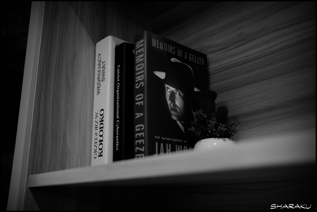 MEMOIRS OF A GEEZER