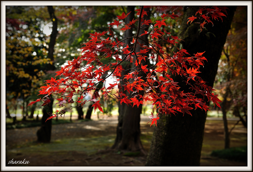 平林寺 ③