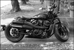 谷中のHARLEY ③