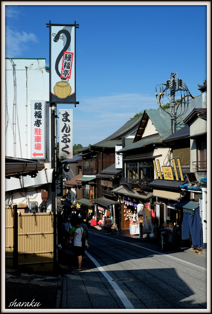 成田山参道 ③