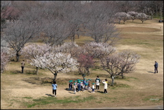梅咲く公園で...