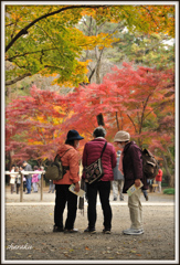 平林寺 ②