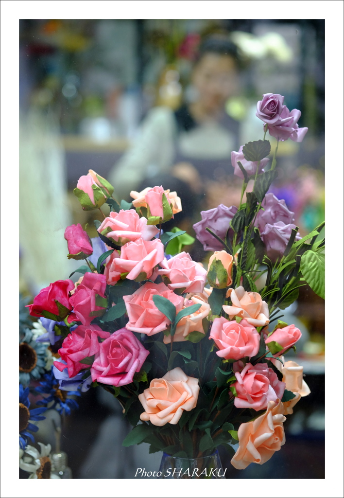 薔薇 3