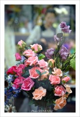 薔薇 3
