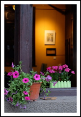 喫茶画廊の花