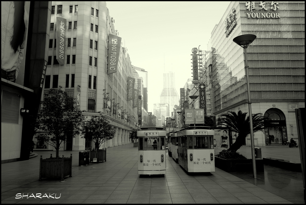 上海の朝③