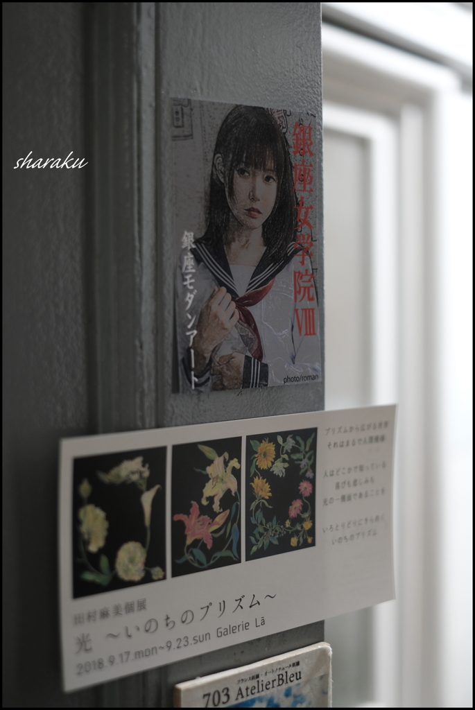 銀座女学院Ⅷ