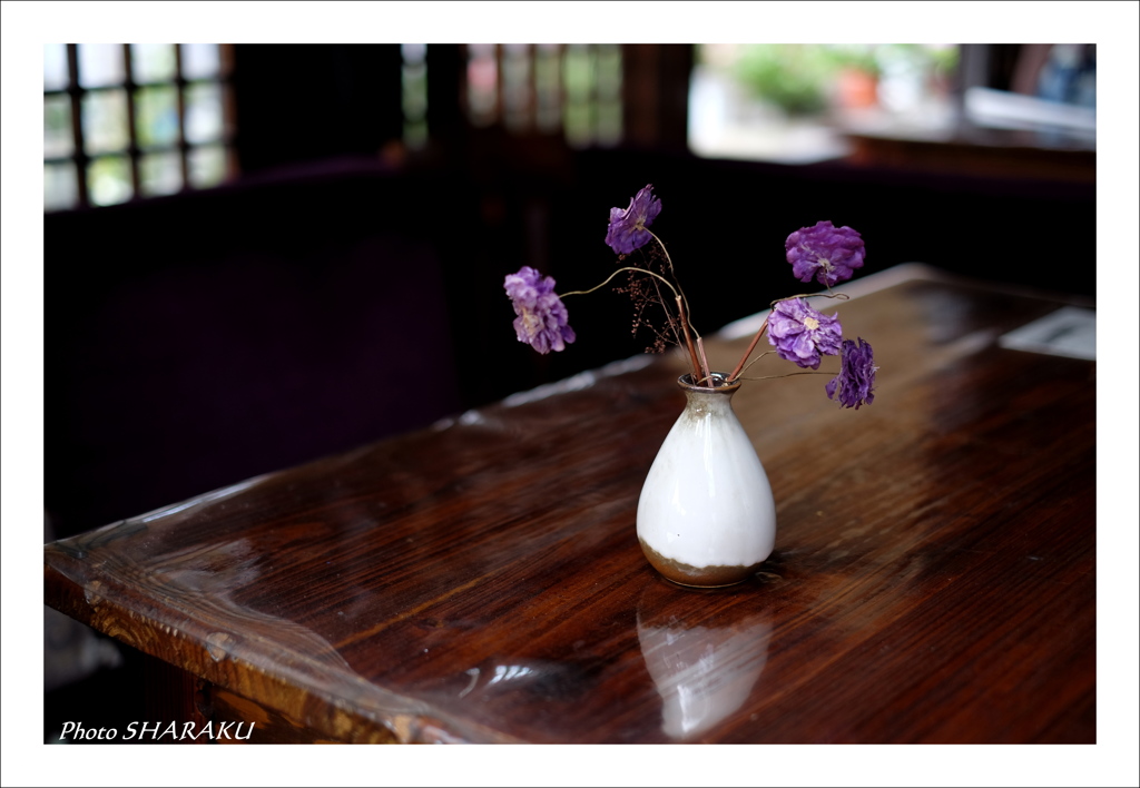 紫の花