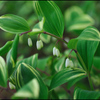 4月を歩く ㉓
