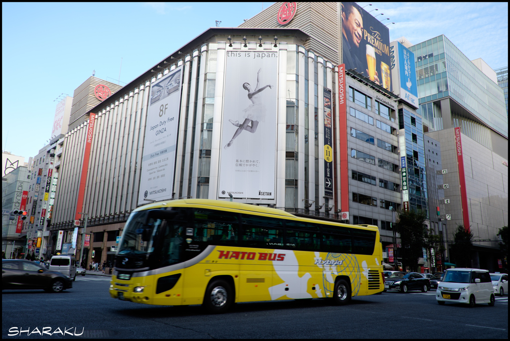 HATO BUS