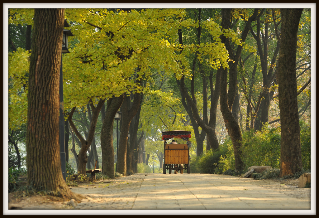 馬車がゆく、秋をゆく