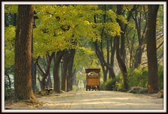 馬車がゆく、秋をゆく