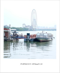 金鶏湖散歩 - 6