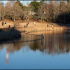 夕暮れ時の公園