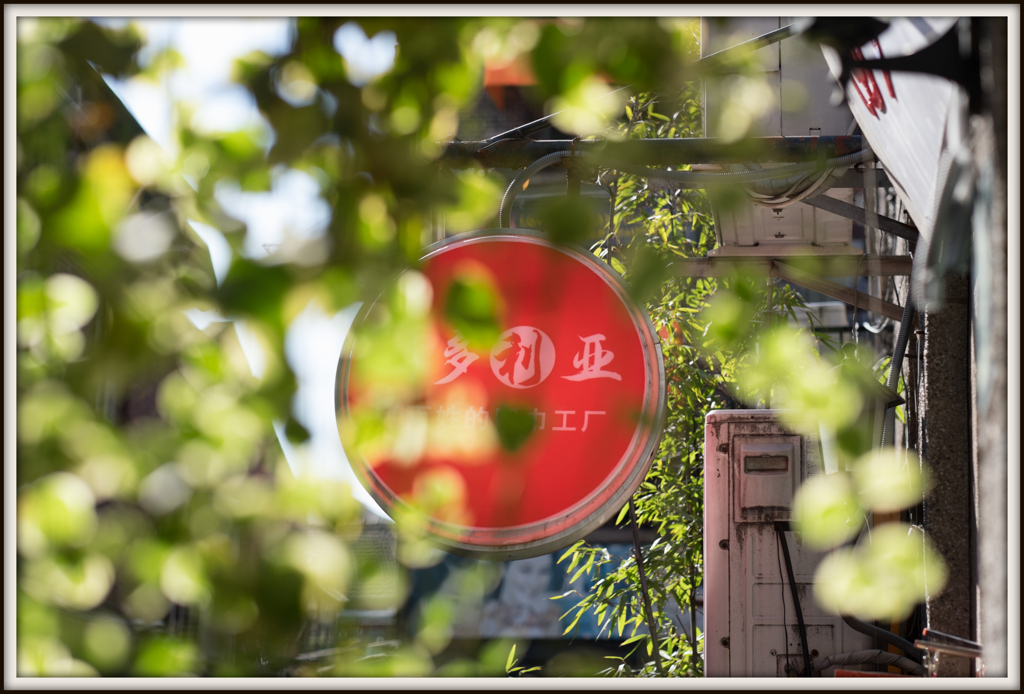 SHANGHAI ➉