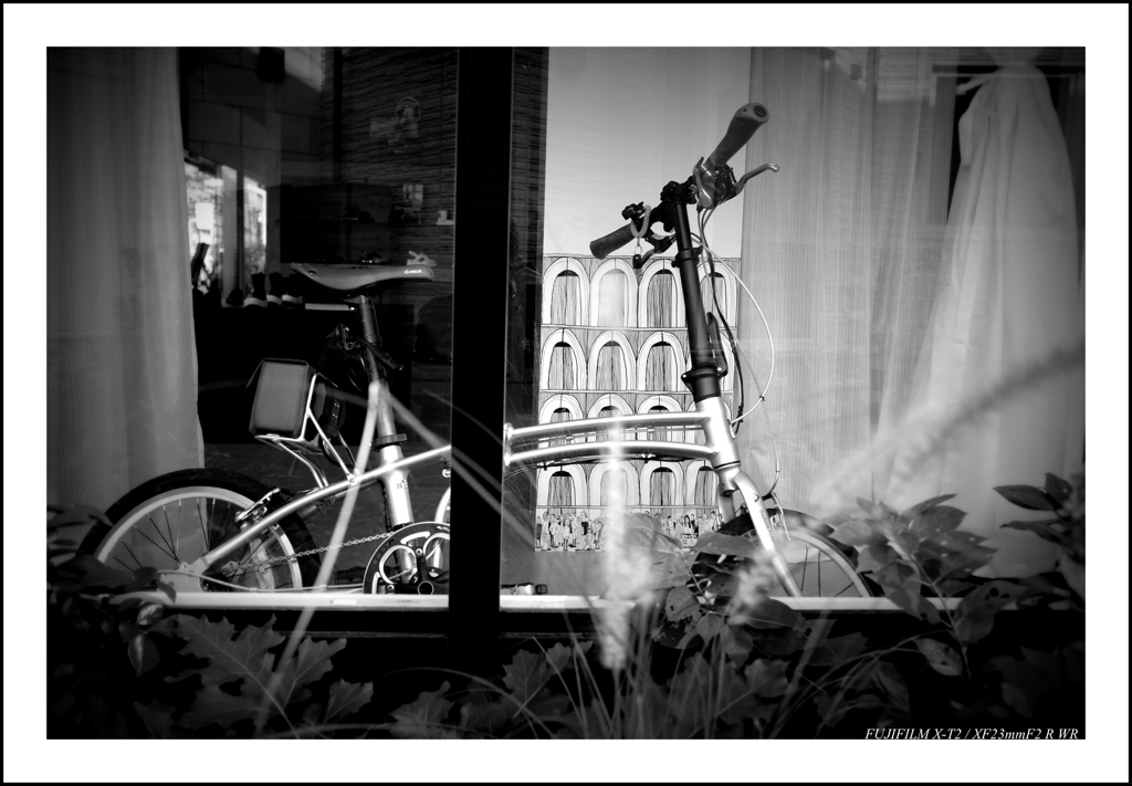 自転車