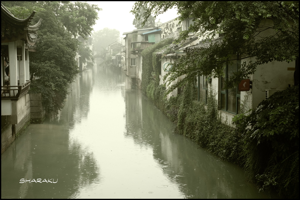 小雨降る水郷