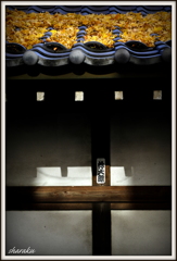 Kita-Shinagawa #5