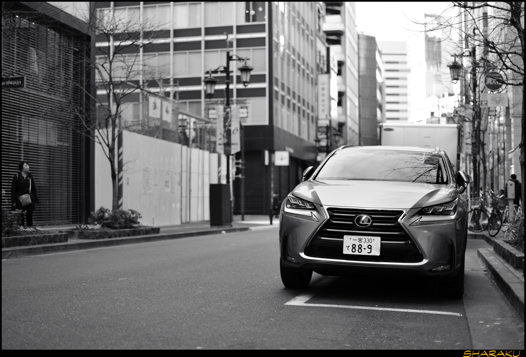 LEXUS