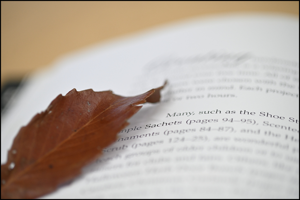 Leaf