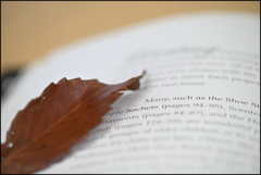 Leaf