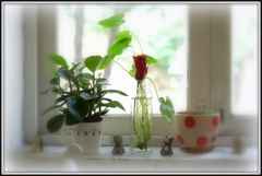 動物たちの森林浴